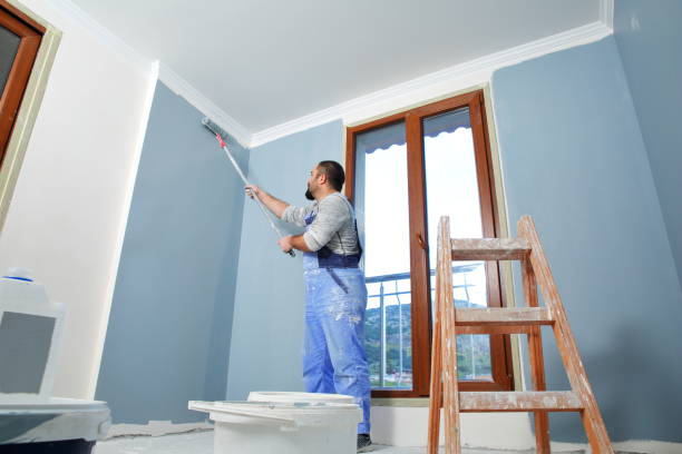 Best Cabinet Painting and Refinishing  in Bayonet Point, FL