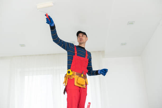 Best Drywall Crack Repair  in Bayonet Point, FL