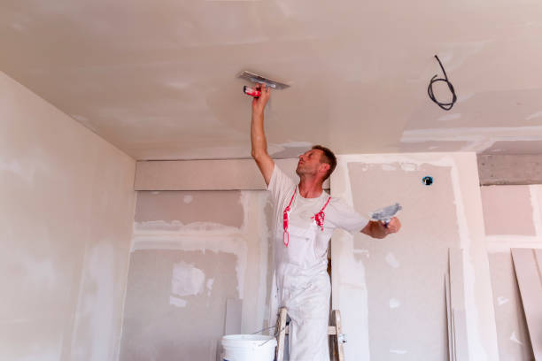 Best Repainting for Renovations  in Bayonet Point, FL