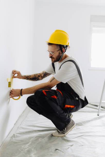 Best Wallpaper Removal and Painting  in Bayonet Point, FL